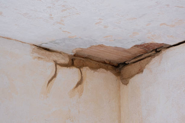 Best Basement water damage restoration  in Ashaway, RI